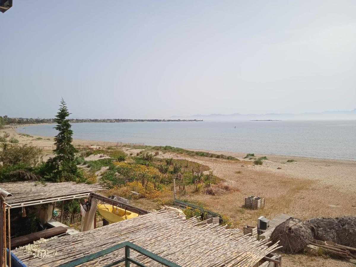 Apartment On The Beach Artemida  Bagian luar foto